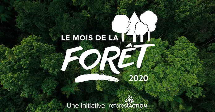 Le Mois De La Foret