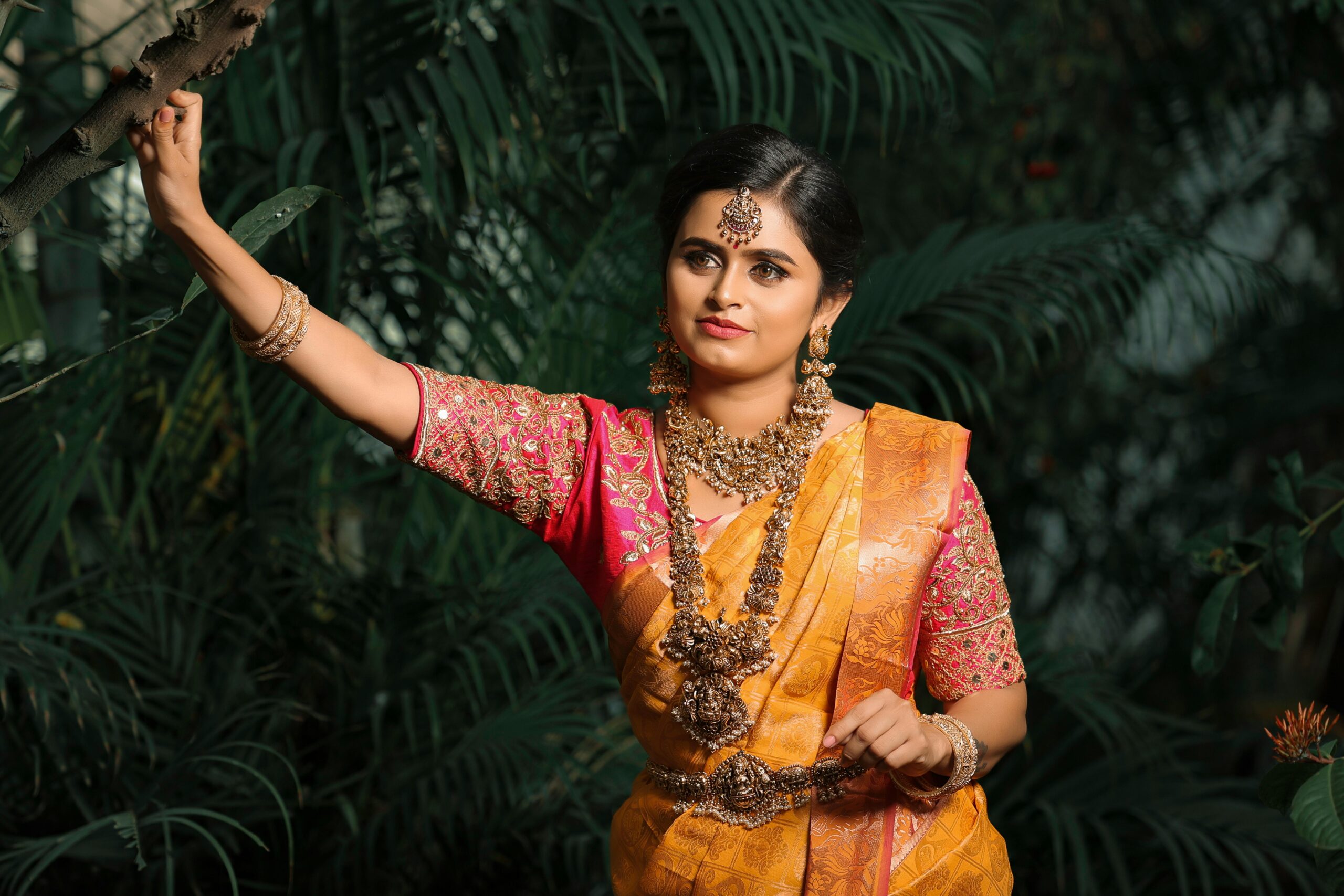 Traditional Saree