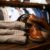Fashion Tips for Men: Elevate Your Style with These Essential Tips
